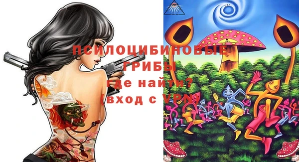 винт Куйбышев