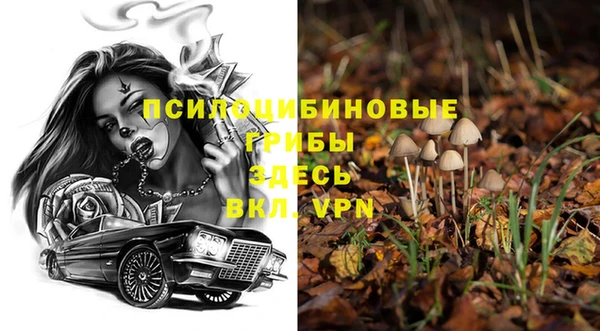 винт Куйбышев
