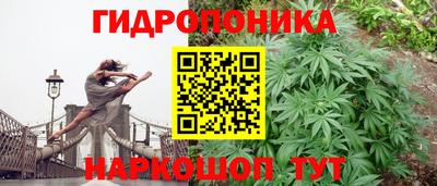 прущая мука Гусь-Хрустальный