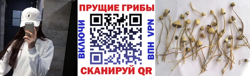 Псилоцибиновые грибы мухоморы  Ханты-Мансийск 