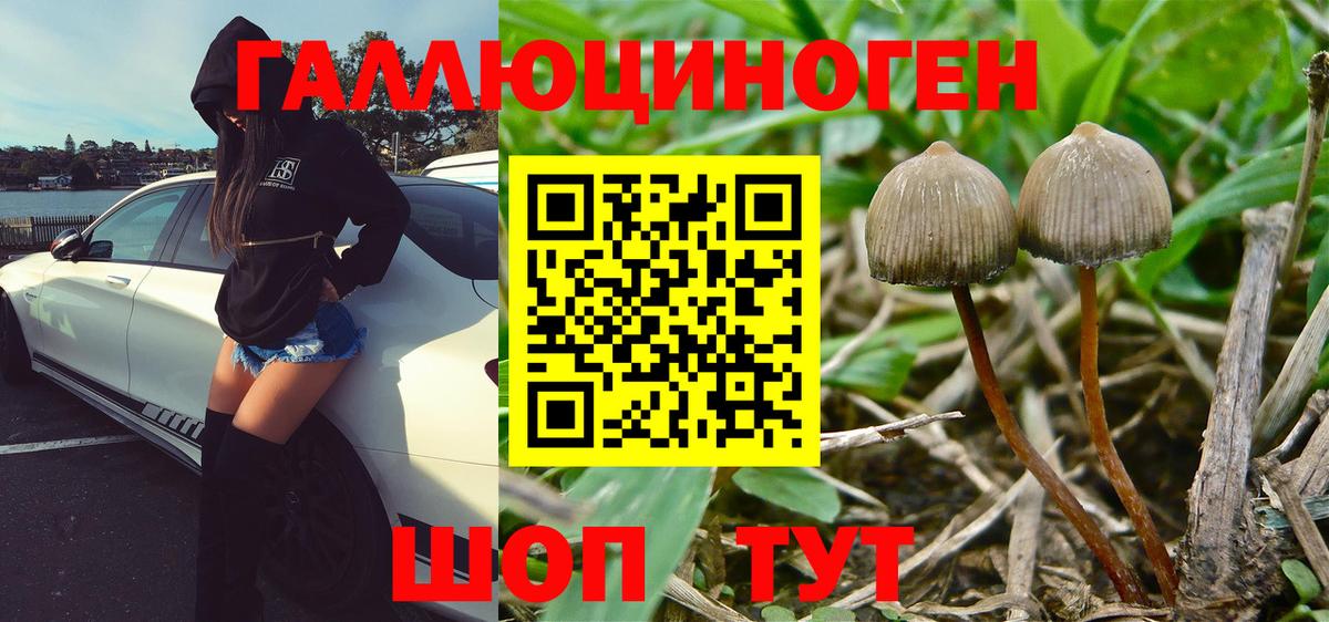 хочу наркоту  Ханты-Мансийск  Псилоцибиновые грибы Psilocybe 